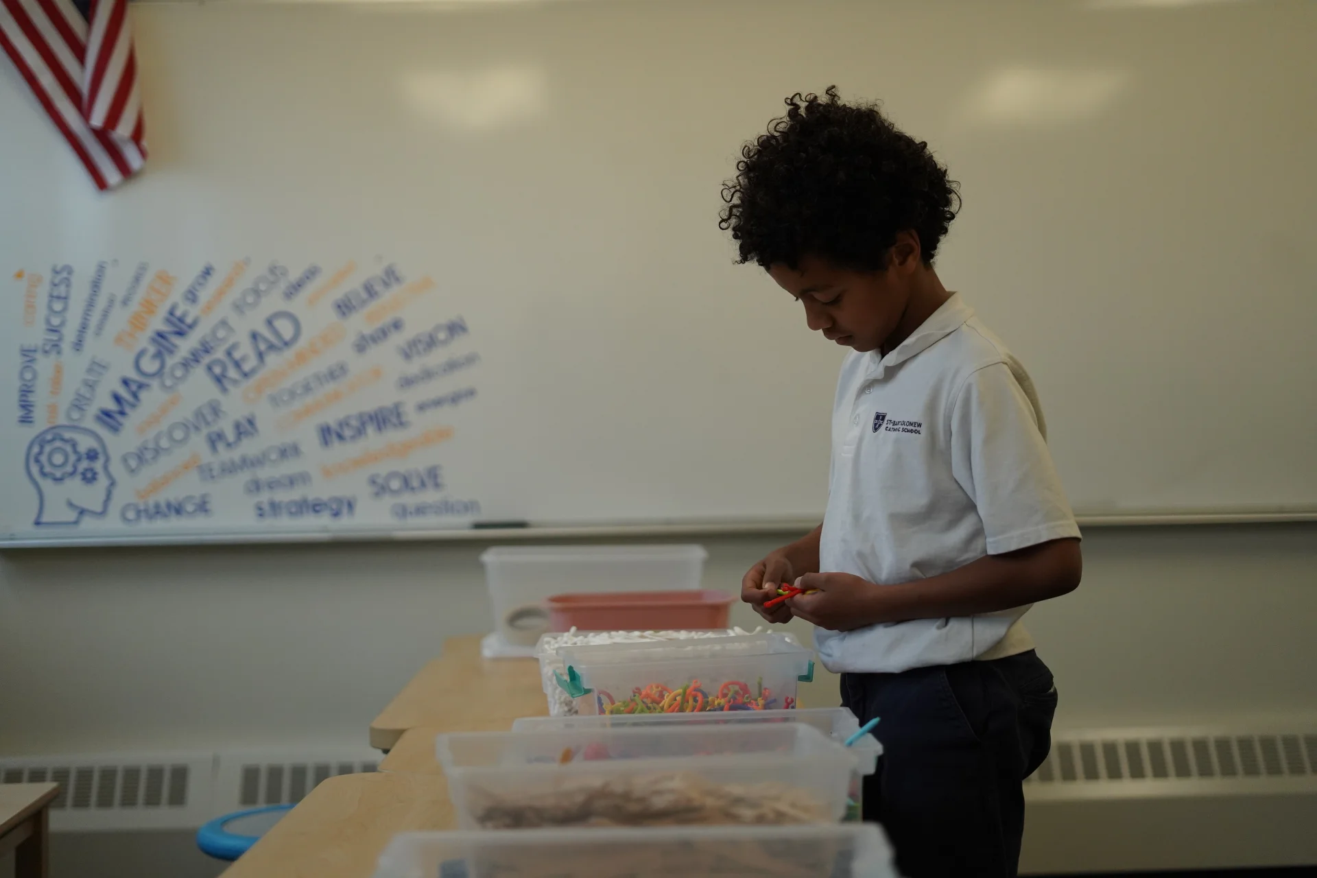boy viewing different bins