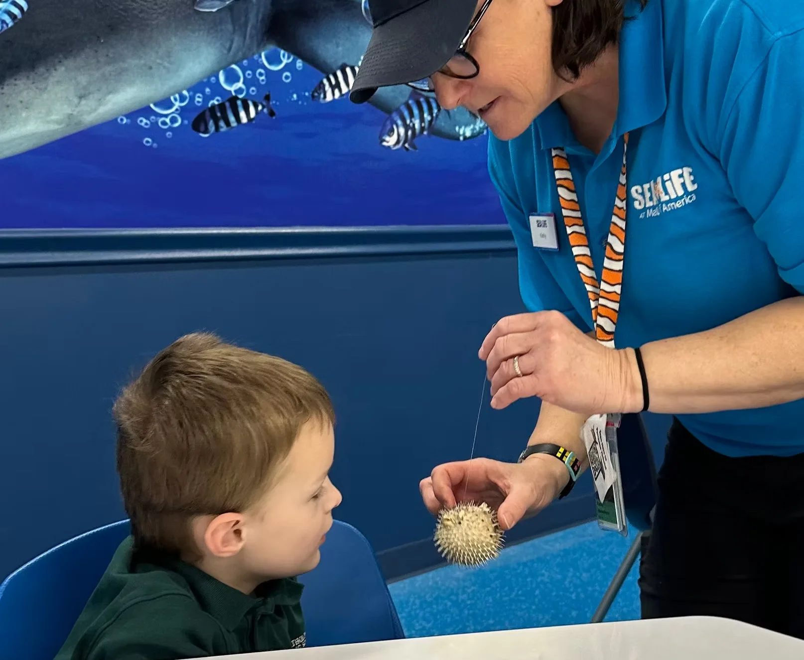 F24535 033a5ecf0a7a48ec8f0f709983f8f2c1mv2.webp